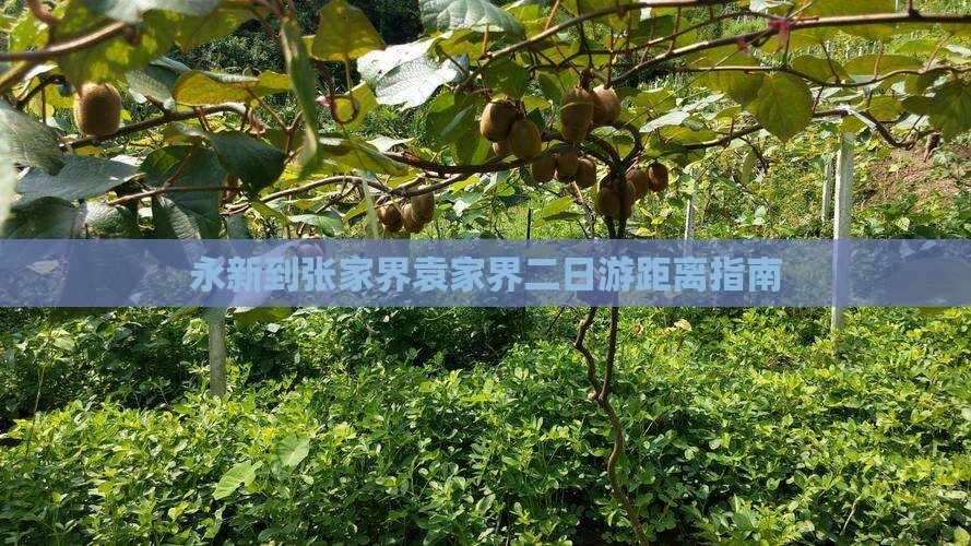 永新到张家界袁家界二日游距离指南