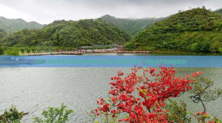 如何从鄂尔多斯前往张家界森林公园必打卡的热门景点?哪些痛点需提前规避? 如何从鄂尔多斯前往张家界森林公园必打卡的热门景点?哪些痛点需提前规避?
