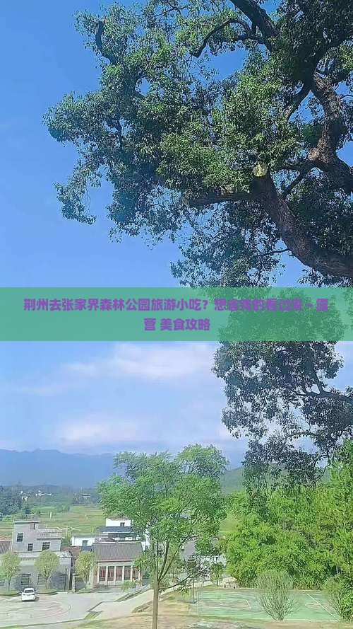 荆州去张家界森林公园旅游小吃？想省钱的看过来～露营+美食攻略