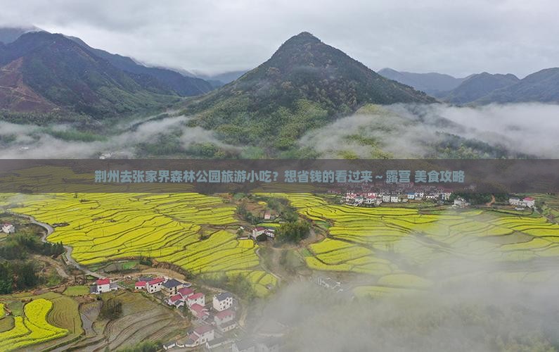 荆州去张家界森林公园旅游小吃？想省钱的看过来～露营+美食攻略