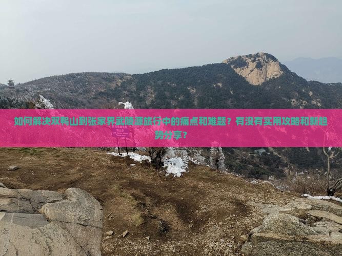 如何解决双鸭山到张家界武陵源旅行中的痛点和难题？有没有实用攻略和新趋势分享？