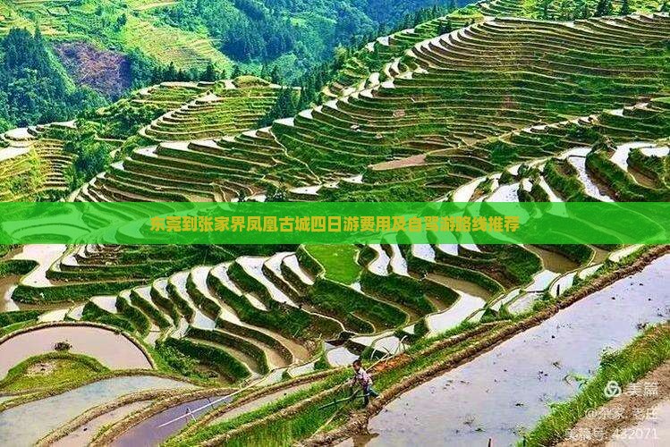 东莞到张家界凤凰古城四日游费用及自驾游路线推荐