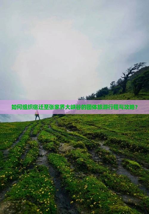 如何组织宿迁至张家界大峡谷的团体旅游行程与攻略？