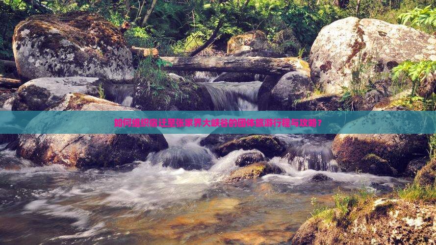 如何组织宿迁至张家界大峡谷的团体旅游行程与攻略？