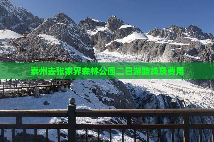 泰州去张家界森林公园二日游路线及费用