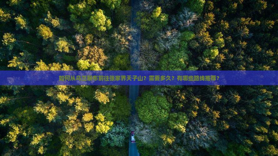 如何从乌兰察布前往张家界天子山？需要多久？有哪些路线推荐？