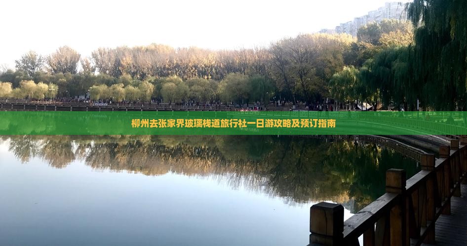 柳州去张家界玻璃栈道旅行社一日游攻略及预订指南