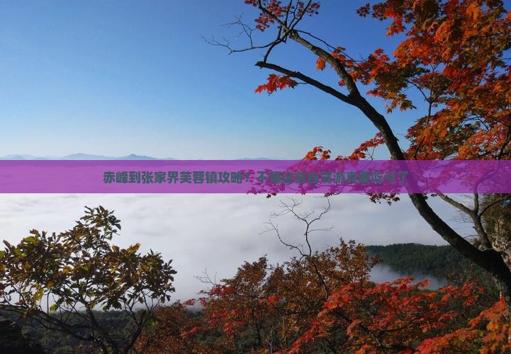 赤峰到张家界芙蓉镇攻略？不懂这些自驾游真要吃亏了