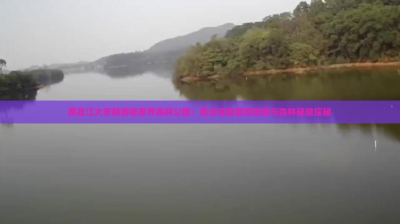 黑龙江大庆畅游张家界森林公园：景点深度旅游攻略与森林秘境探秘