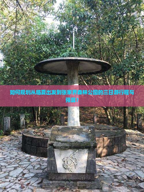如何规划从临夏出发到张家界森林公园的三日游行程与预算？