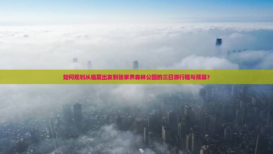 如何规划从临夏出发到张家界森林公园的三日游行程与预算？