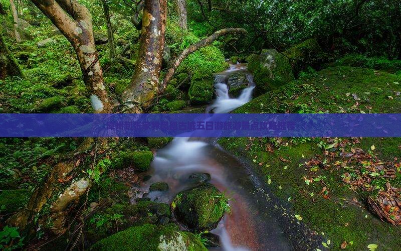 漳州到张家界凤凰古城五日游旅游景点攻略推荐