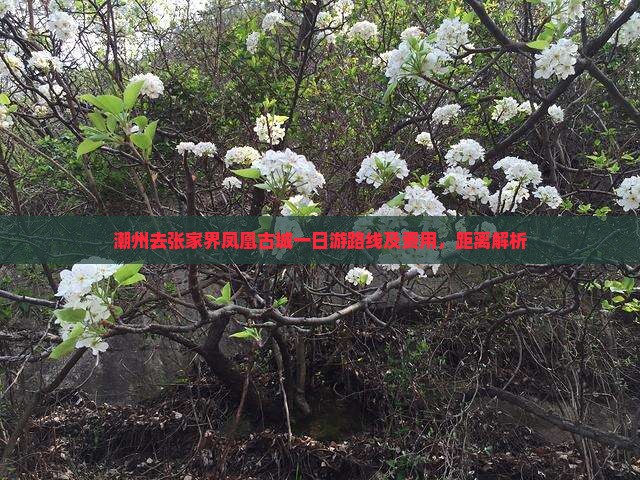 潮州去张家界凤凰古城一日游路线及费用，距离解析