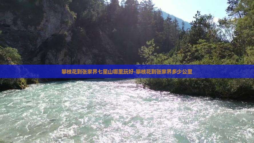 攀枝花到张家界七星山哪里玩好-攀枝花到张家界多少公里