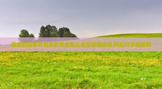 保定到张家界袁家界景点怎么卓自驾游攻略+网红打卡地推荐