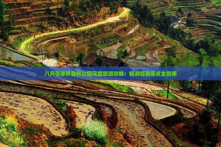 八月张家界森林公园深度旅游攻略：畅游经典景点全指南