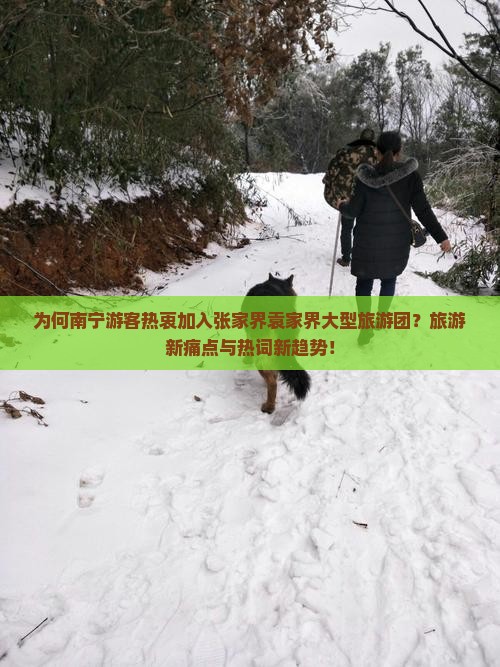 为何南宁游客热衷加入张家界袁家界大型旅游团？旅游新痛点与热词新趋势！