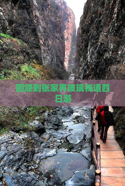 固原到张家界玻璃栈道四日游