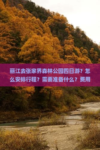丽江去张家界森林公园四日游？怎么安排行程？需要准备什么？费用大概是多少？
