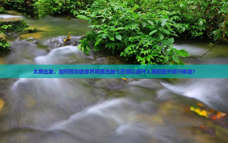 太原出发，如何规划张家界凤凰古城七日游以避开人潮和提升旅行体验？