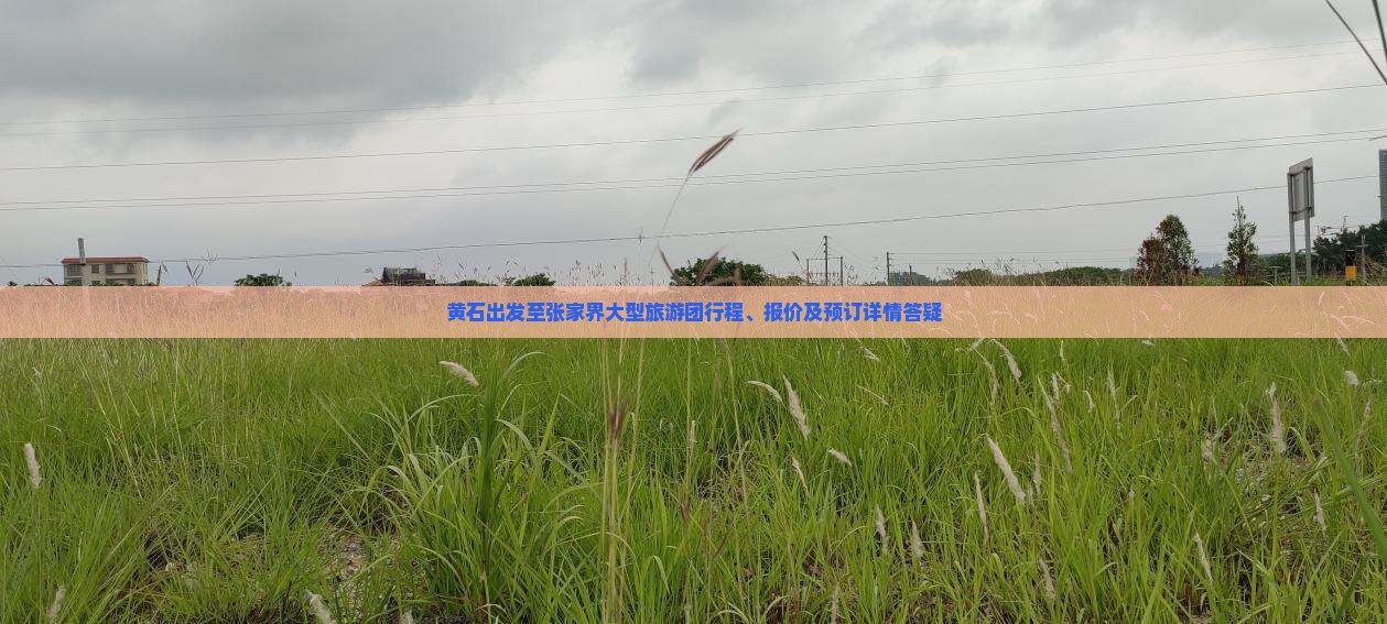 黄石出发至张家界大型旅游团行程、报价及预订详情答疑