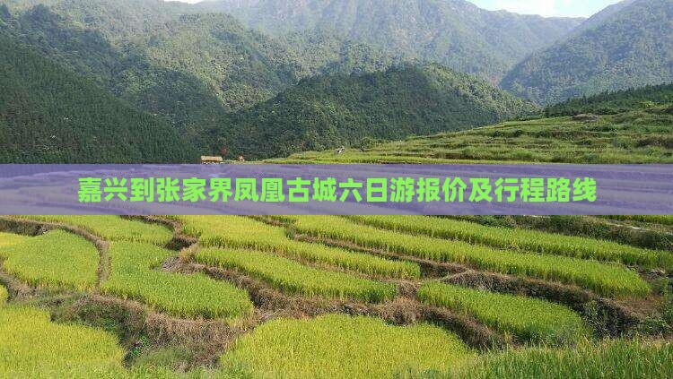 嘉兴到张家界凤凰古城六日游报价及行程路线