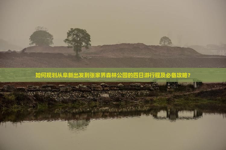 如何规划从阜新出发到张家界森林公园的四日游行程及必备攻略？