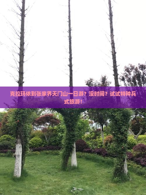 克拉玛依到张家界天门山一日游？没时间？试试特种兵式旅游！