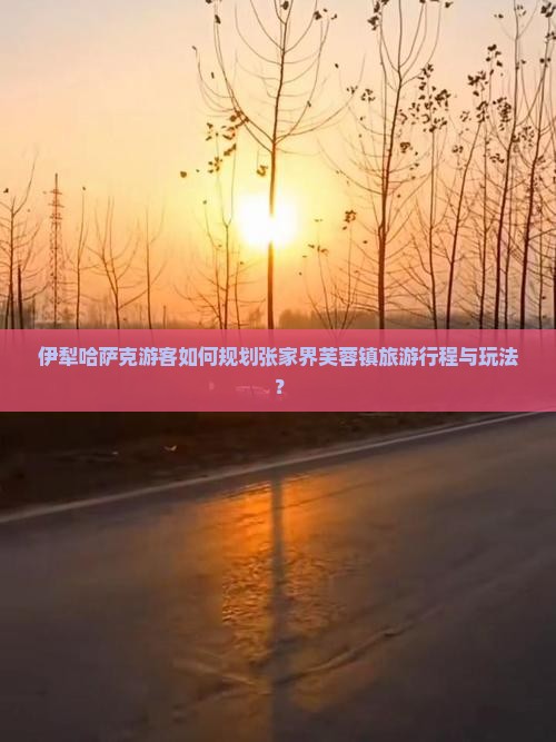 伊犁哈萨克游客如何规划张家界芙蓉镇旅游行程与玩法？