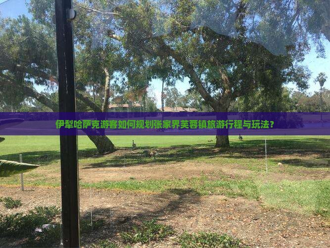 伊犁哈萨克游客如何规划张家界芙蓉镇旅游行程与玩法？