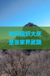 如何组织大庆至张家界武陵源高品质团体旅游？哪些旅行社提供此路峡费用和行程如何安排？
