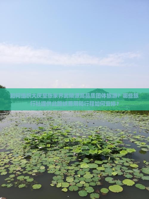如何组织大庆至张家界武陵源高品质团体旅游？哪些旅行社提供此路峡费用和行程如何安排？