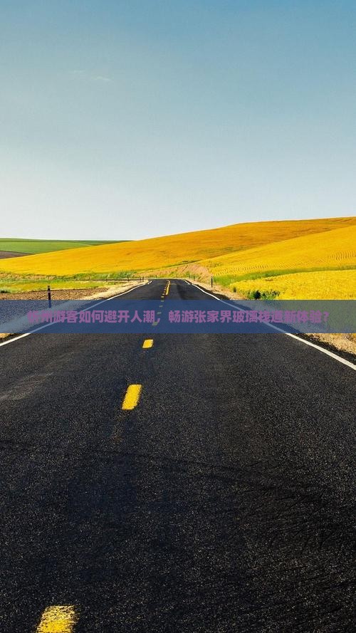 忻州游客如何避开人潮，畅游张家界玻璃栈道新体验？