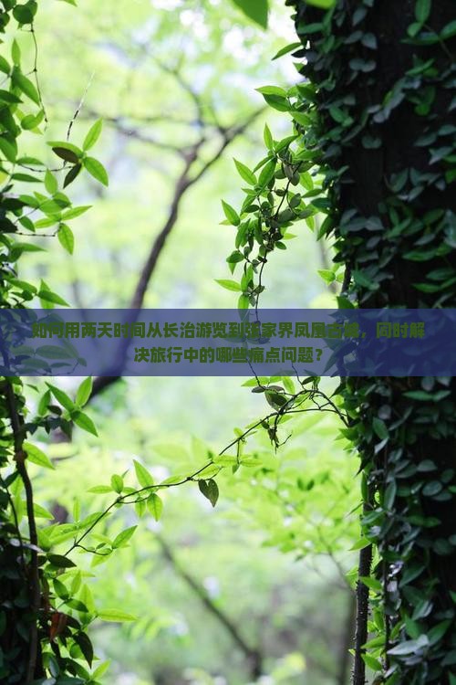 如何用两天时间从长治游览到张家界凤凰古城，同时解决旅行中的哪些痛点问题？