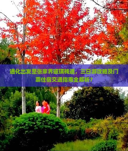 通化出发至张家界玻璃栈道，三日游攻略及门票住宿交通指南全解析？
