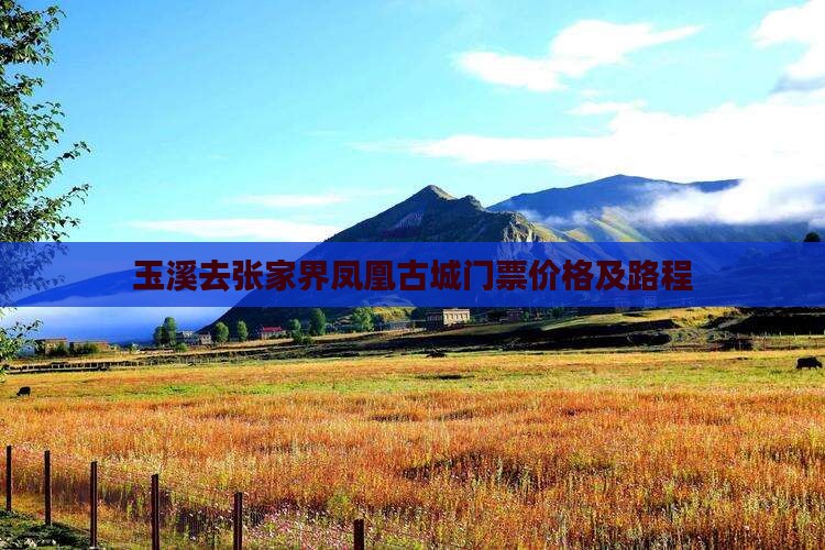 玉溪去张家界凤凰古城门票价格及路程