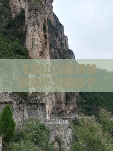 《白山出发探秘张家界大峡谷个人旅游攻略》