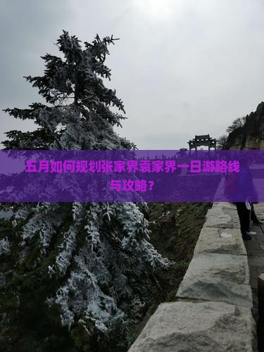 五月如何规划张家界袁家界一日游路线与攻略？