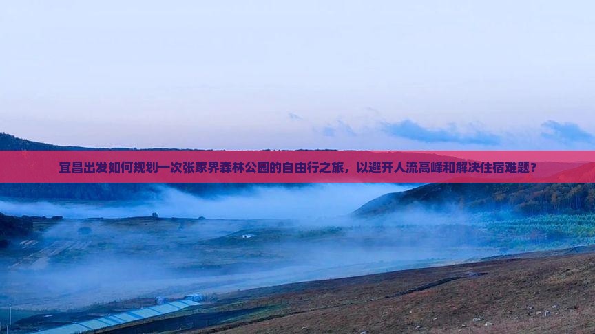 宜昌出发如何规划一次张家界森林公园的自由行之旅，以避开人流高峰和解决住宿难题？