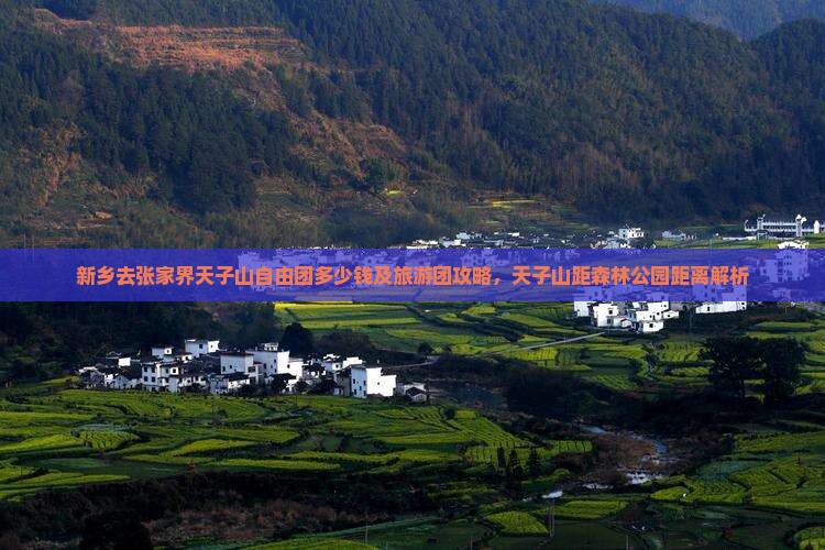 新乡去张家界天子山自由团多少钱及旅游团攻略，天子山距森林公园距离解析