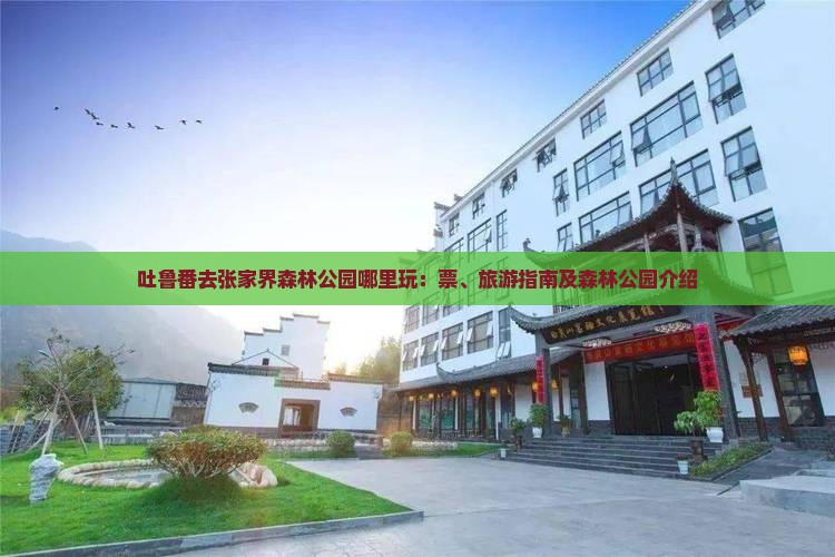 吐鲁番去张家界森林公园哪里玩：票、旅游指南及森林公园介绍