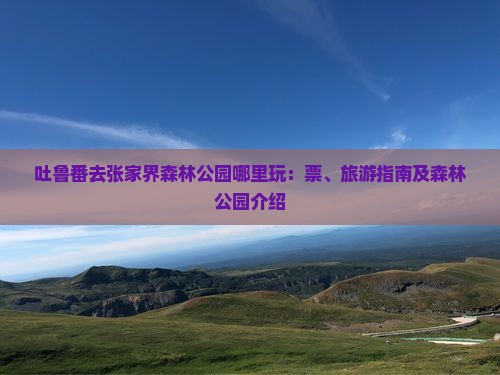 吐鲁番去张家界森林公园哪里玩：票、旅游指南及森林公园介绍