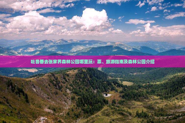 吐鲁番去张家界森林公园哪里玩：票、旅游指南及森林公园介绍