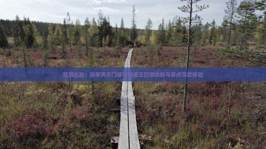 抚顺出发：张家界天门玻璃栈道三日游攻略与景点深度体验