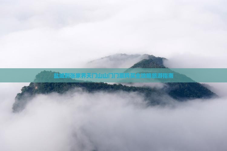 盐城到张家界天门山山门门票购买全攻略旅游指南