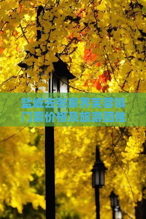 盐城去张家界芙蓉镇门票价格及旅游团推荐