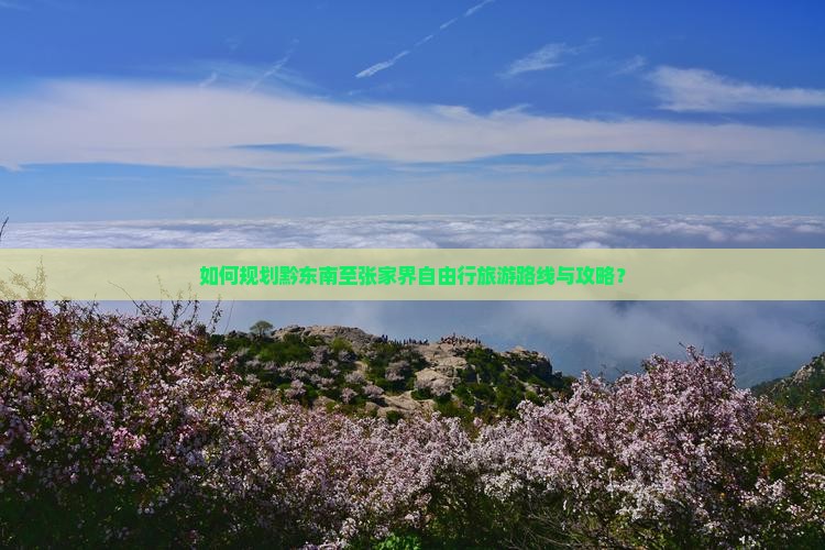 如何规划黔东南至张家界自由行旅游路线与攻略？