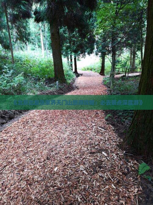 《北京出发张家界天门山旅游攻略：必去景点深度游》