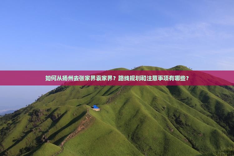 如何从扬州去张家界袁家界？路线规划和注意事项有哪些？