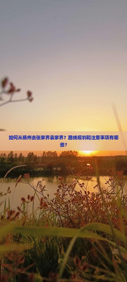 如何从扬州去张家界袁家界？路线规划和注意事项有哪些？
